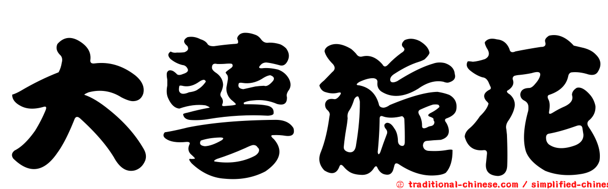 大萼旋花