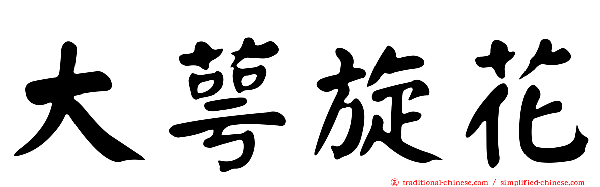 大萼旋花