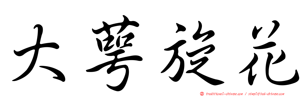 大萼旋花
