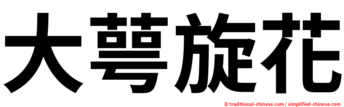 大萼旋花