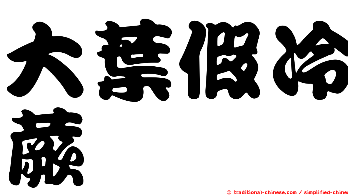 大葉假冷蕨