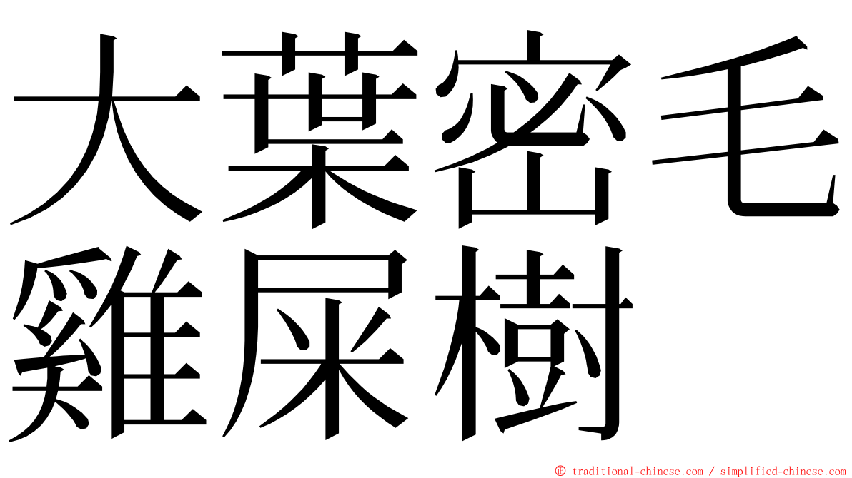大葉密毛雞屎樹 ming font