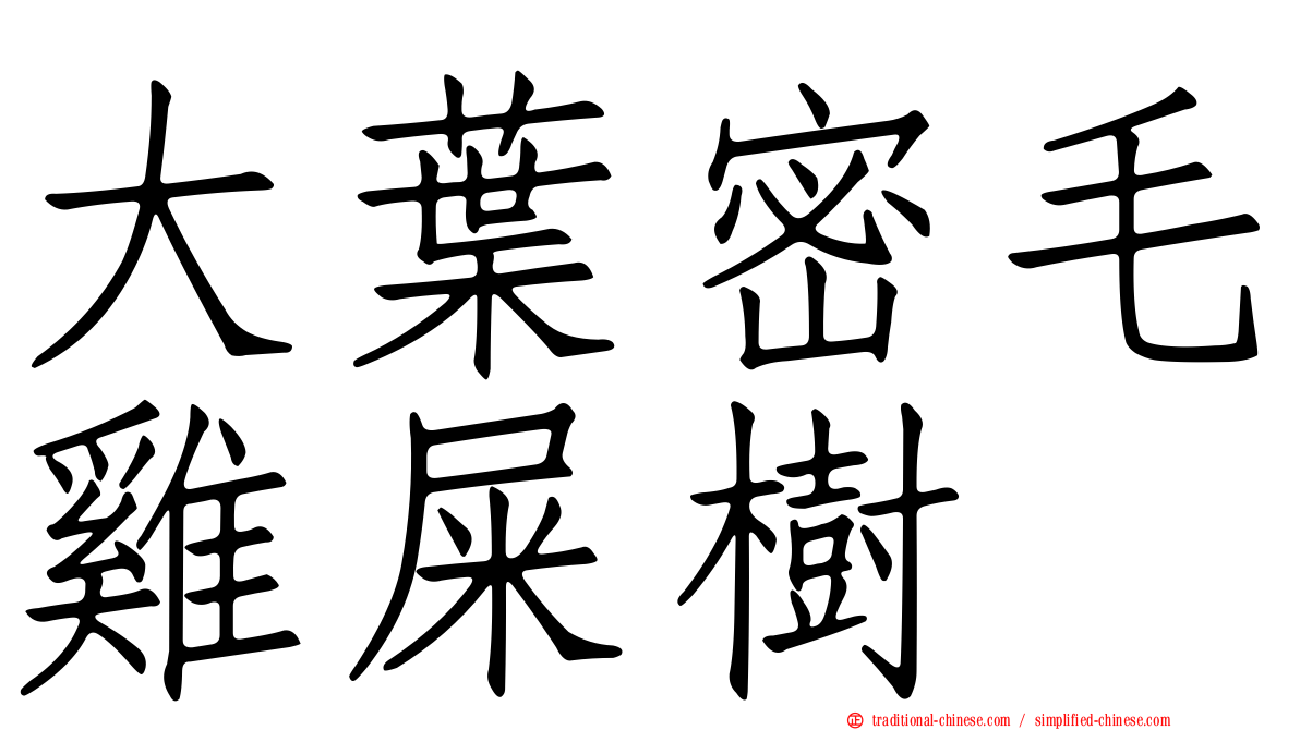 大葉密毛雞屎樹