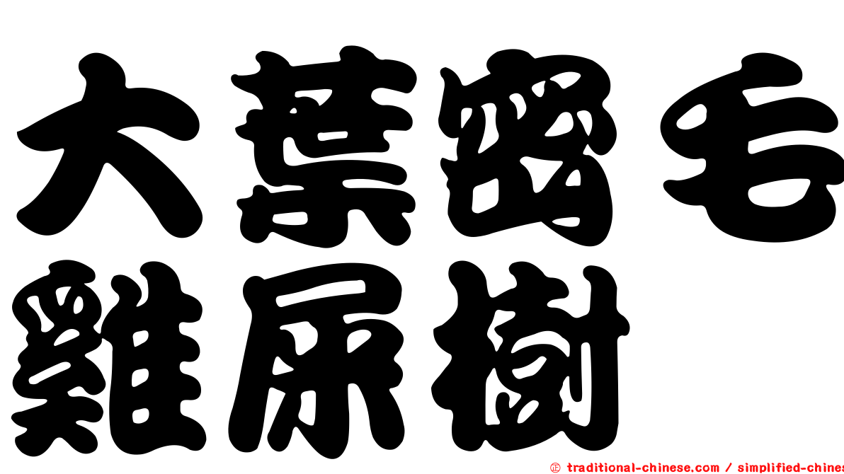 大葉密毛雞屎樹