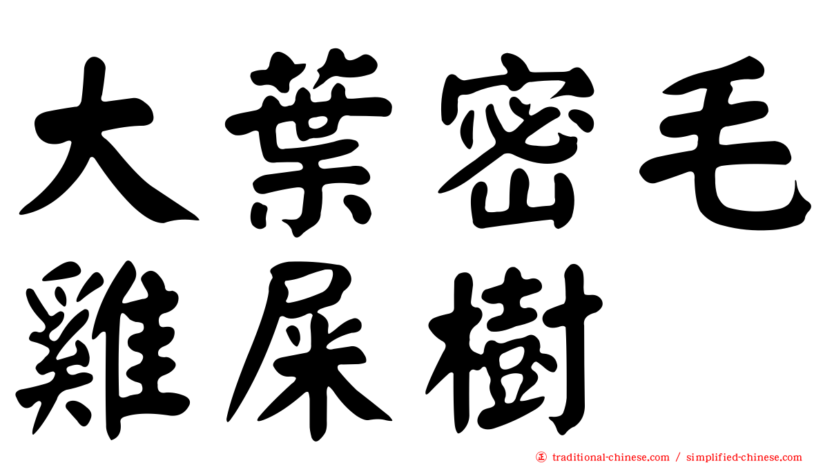 大葉密毛雞屎樹