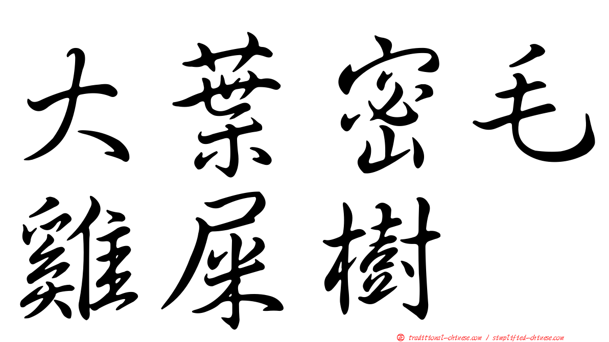 大葉密毛雞屎樹