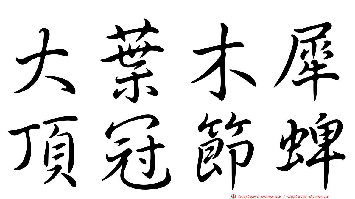 大葉木犀頂冠節蜱