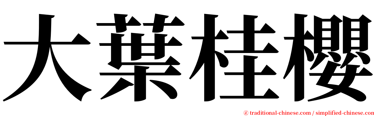大葉桂櫻 serif font