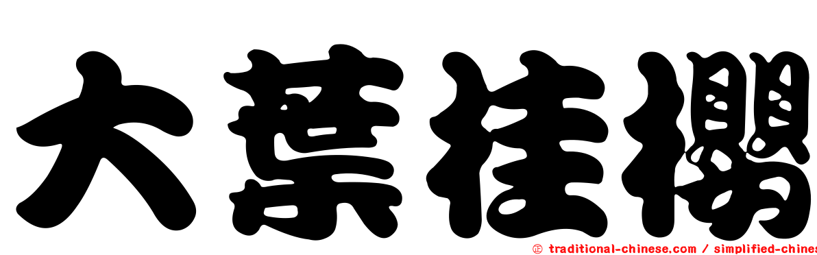 大葉桂櫻