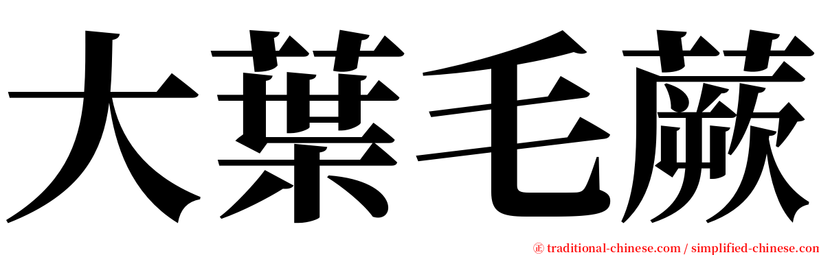 大葉毛蕨 serif font