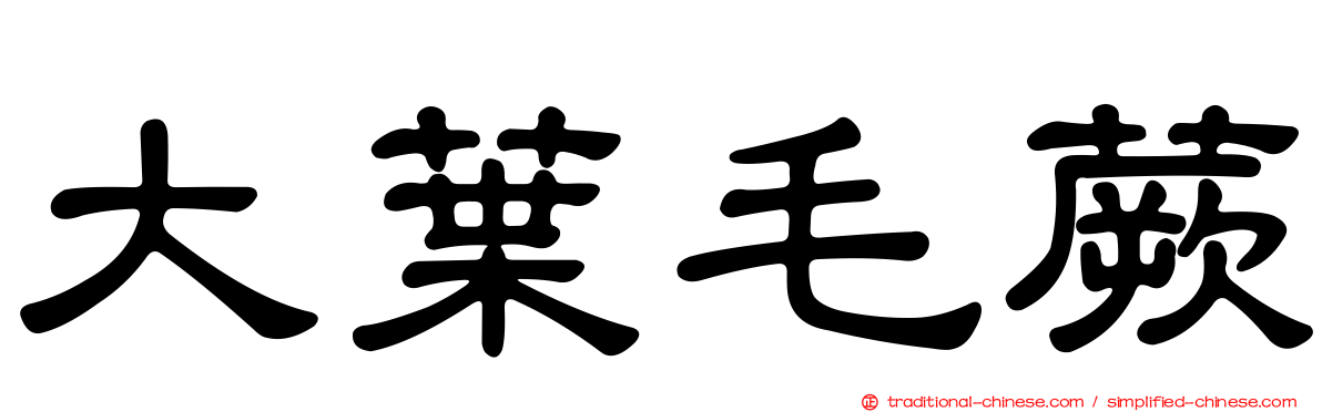 大葉毛蕨