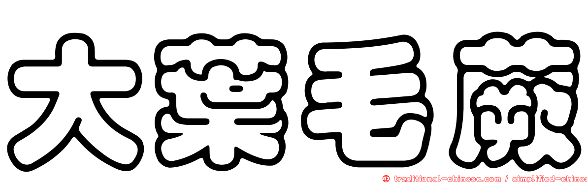 大葉毛蕨