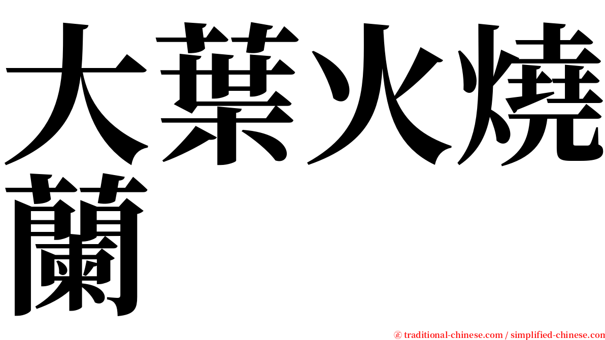 大葉火燒蘭 serif font