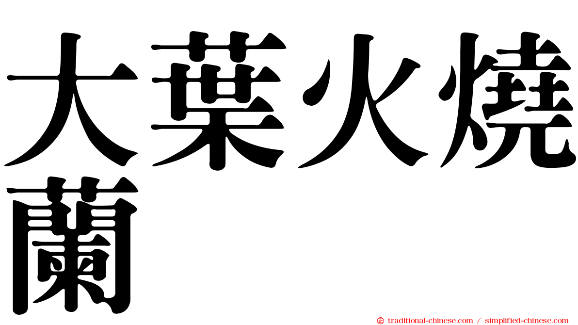 大葉火燒蘭