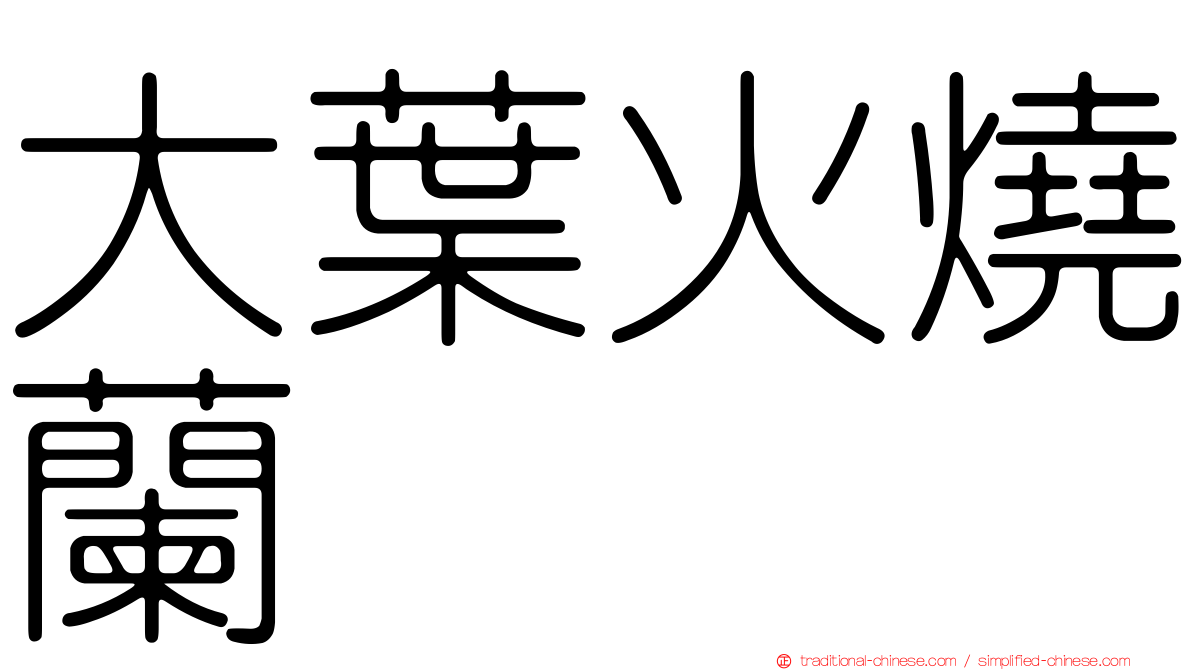 大葉火燒蘭