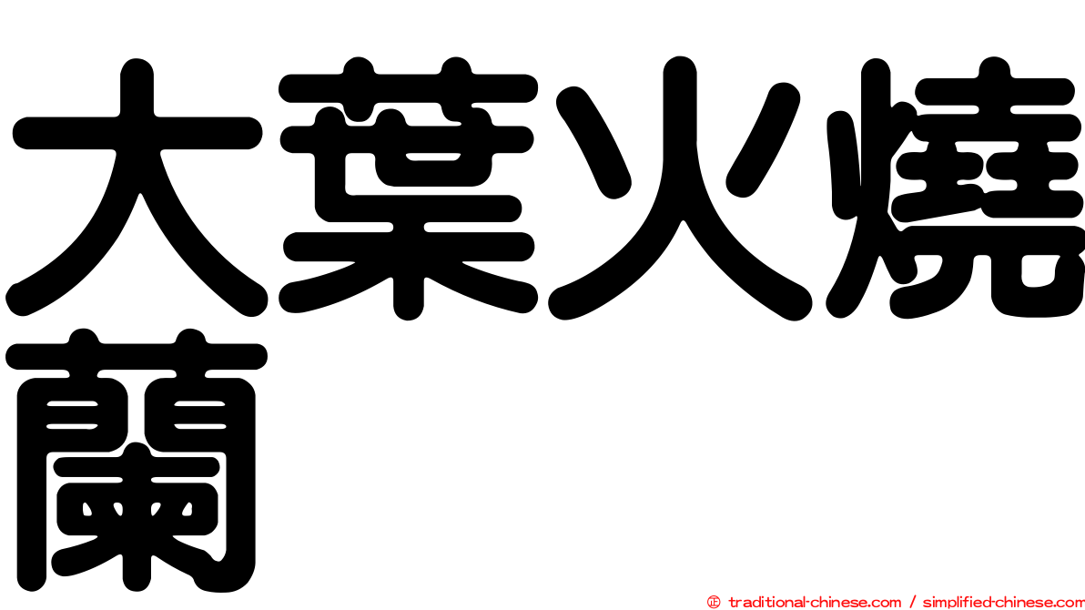 大葉火燒蘭