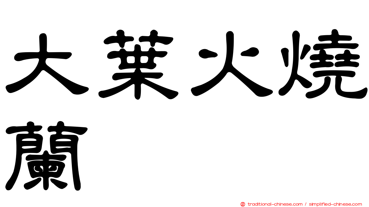大葉火燒蘭