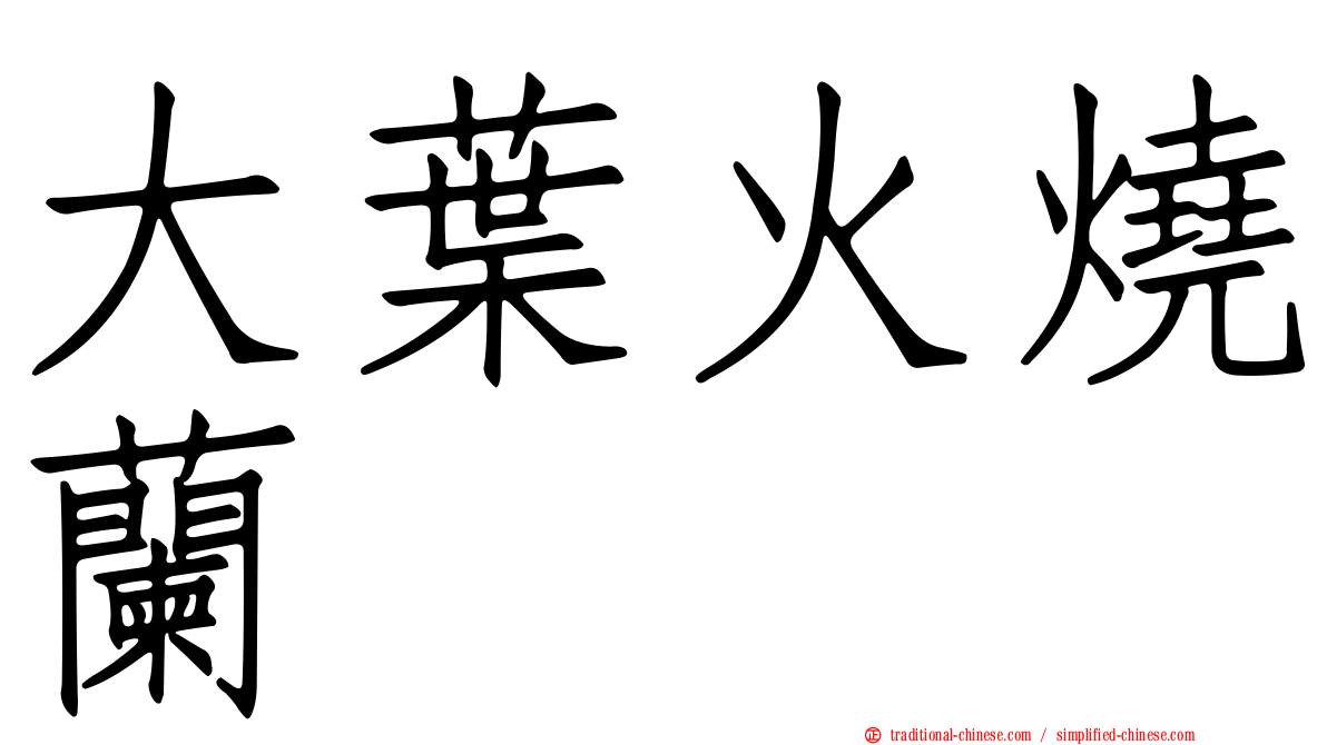 大葉火燒蘭