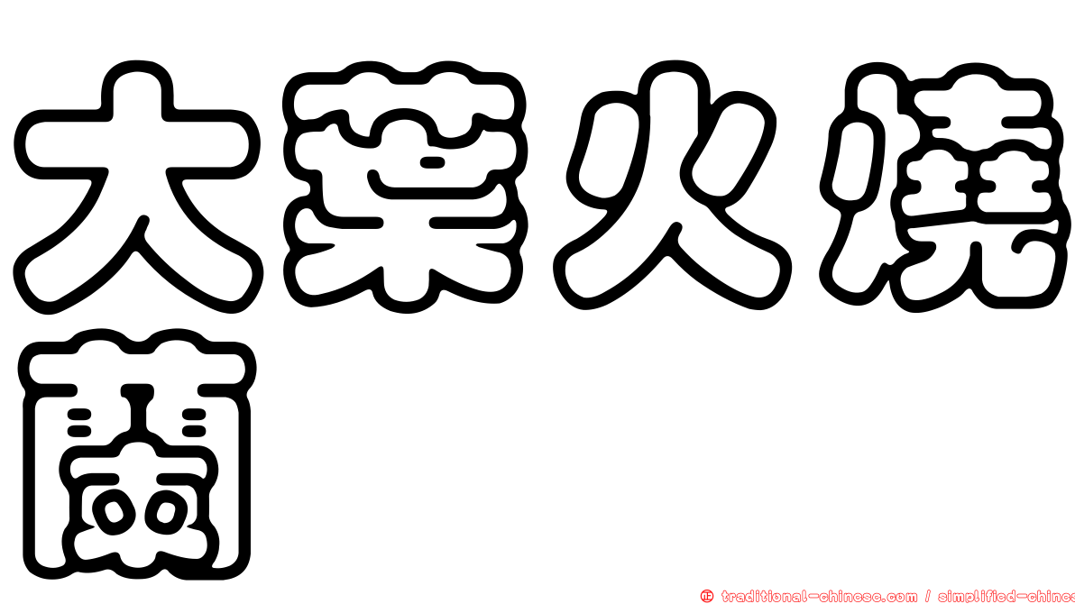 大葉火燒蘭