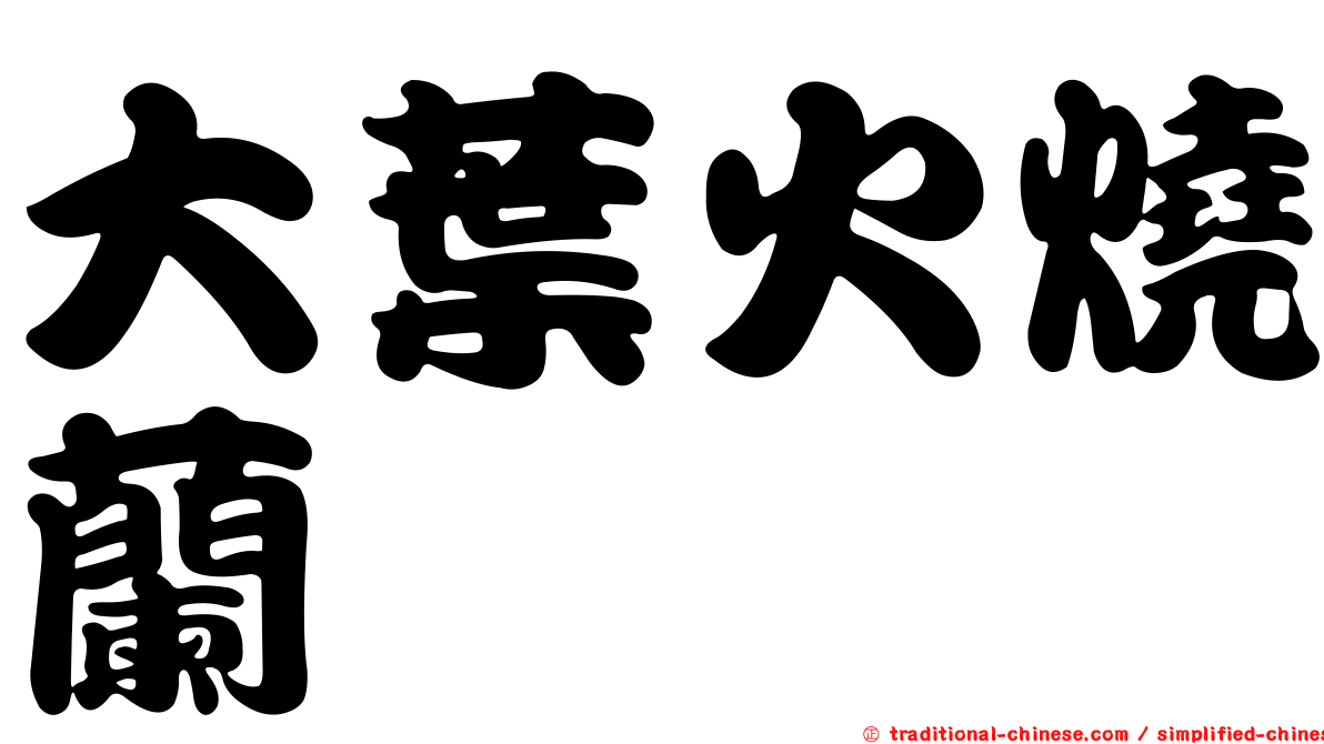 大葉火燒蘭