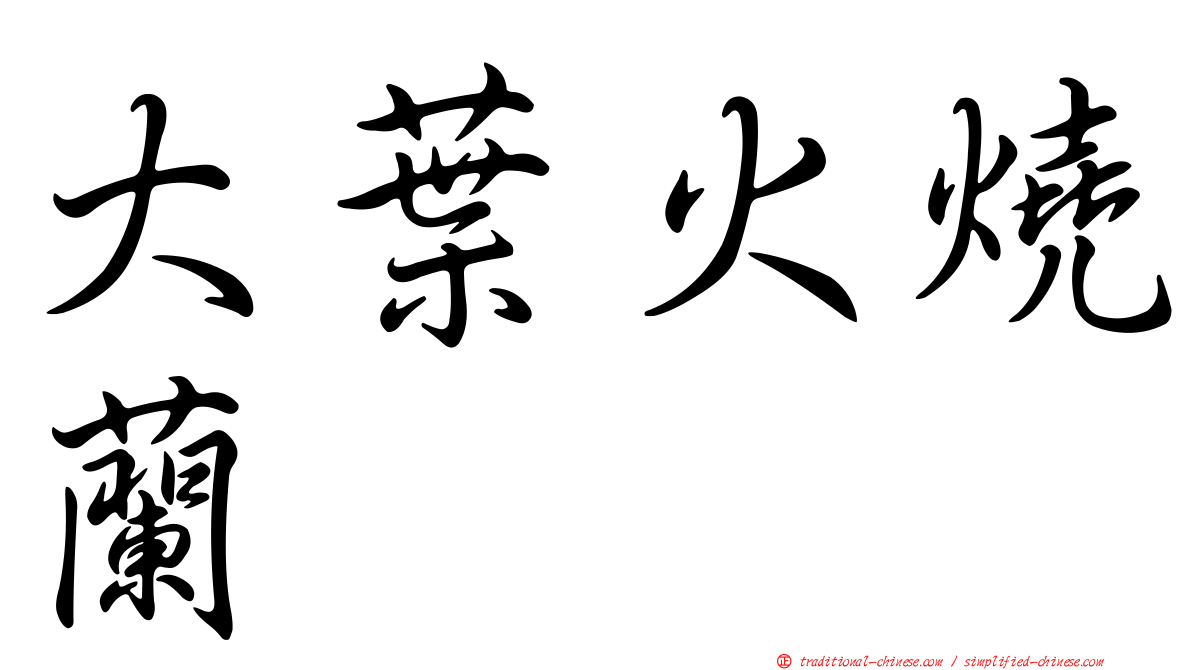 大葉火燒蘭