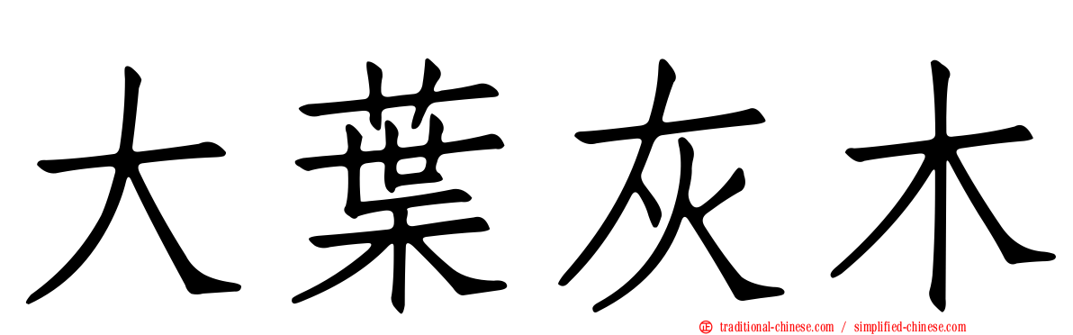 大葉灰木
