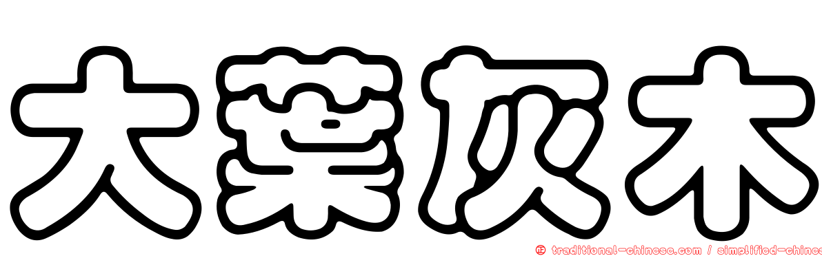 大葉灰木