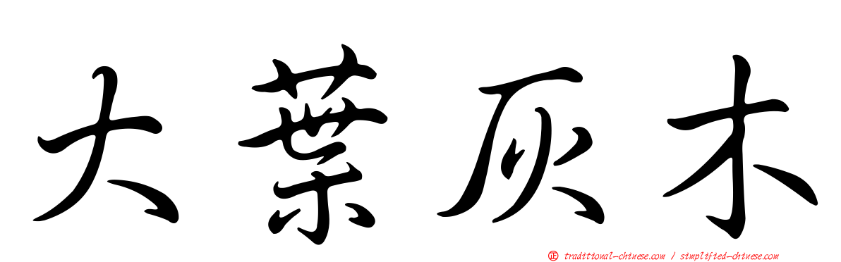 大葉灰木