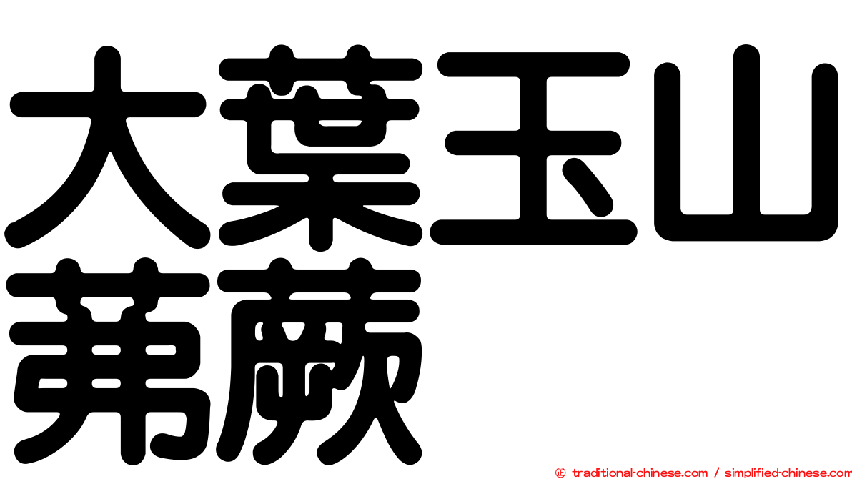 大葉玉山茀蕨