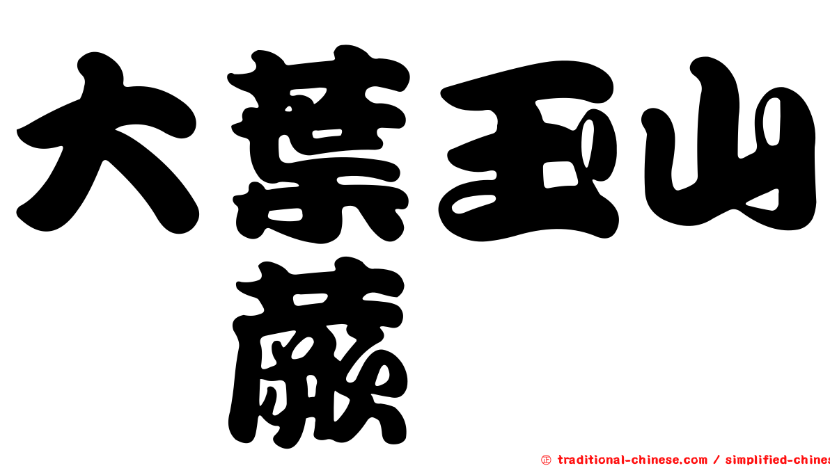 大葉玉山茀蕨