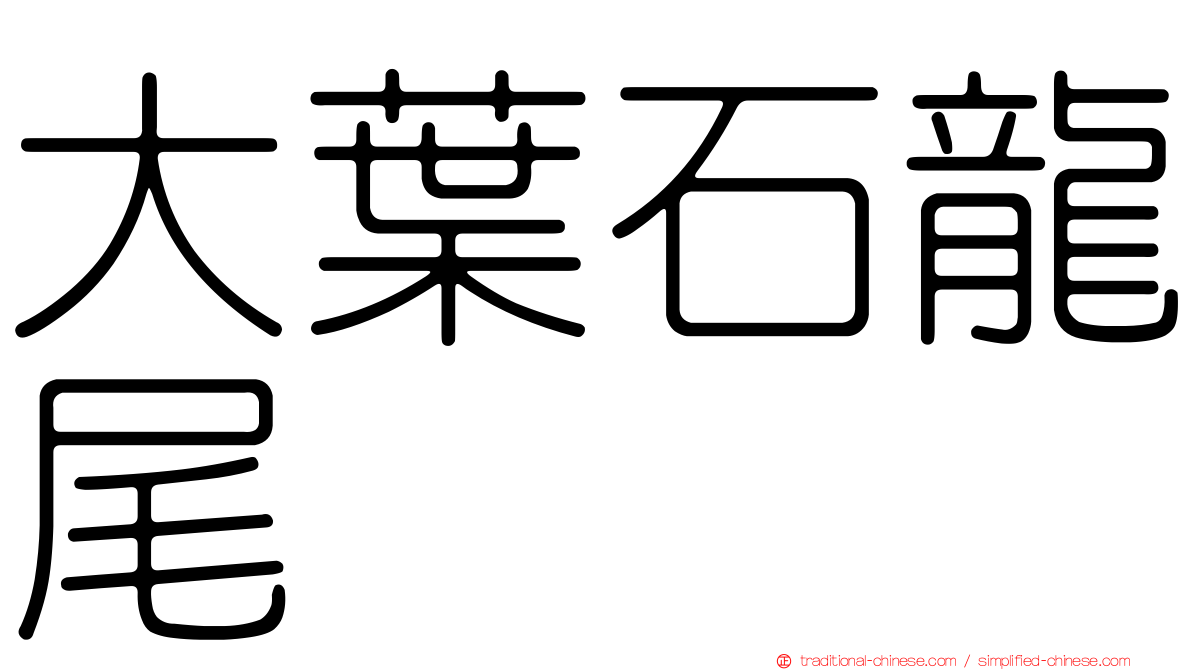 大葉石龍尾