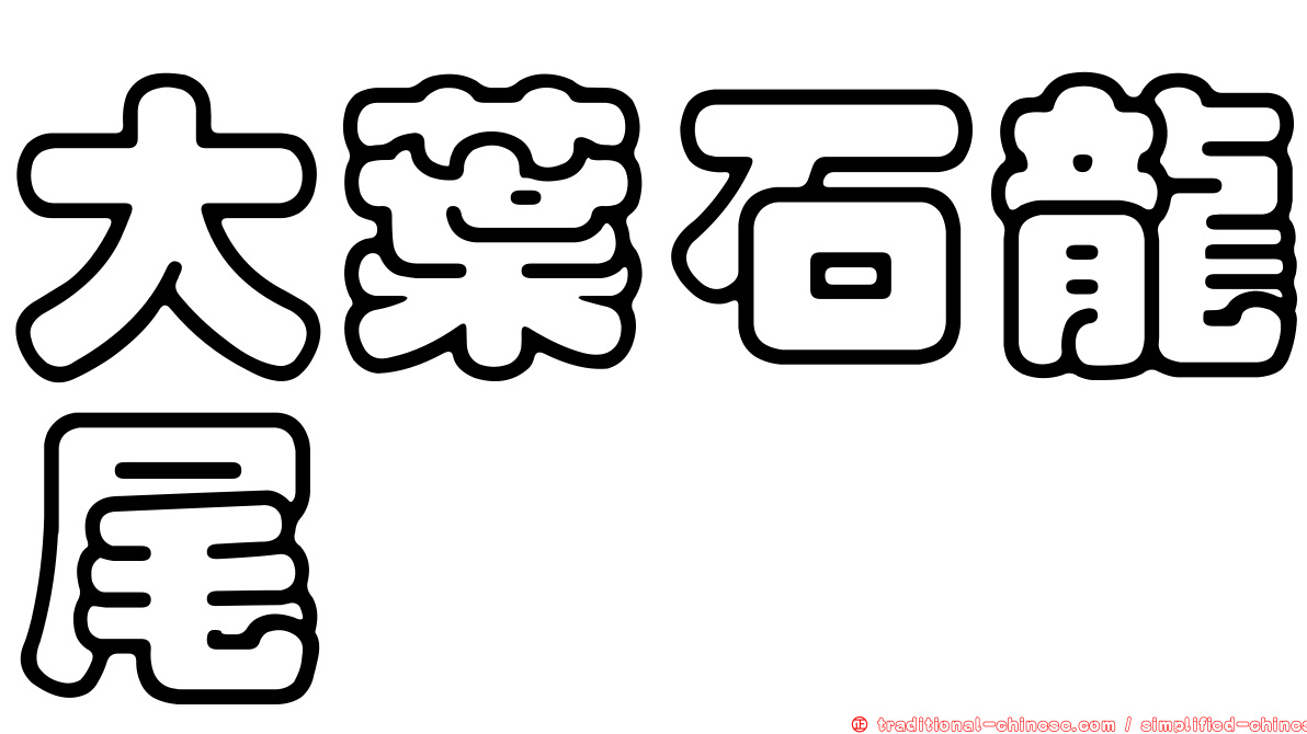 大葉石龍尾