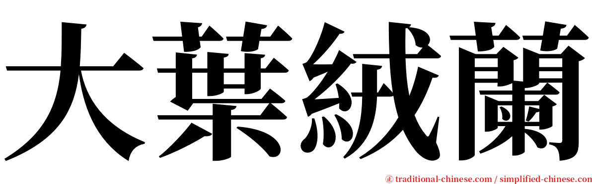 大葉絨蘭 serif font