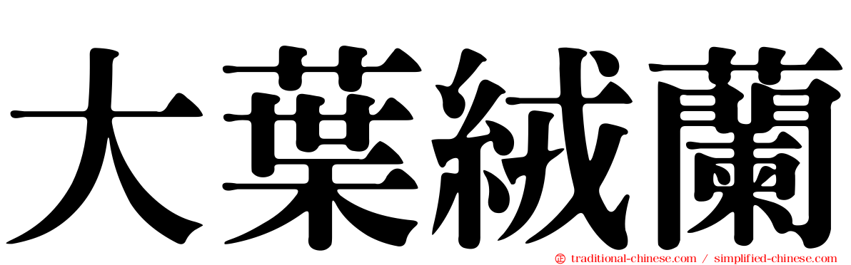 大葉絨蘭