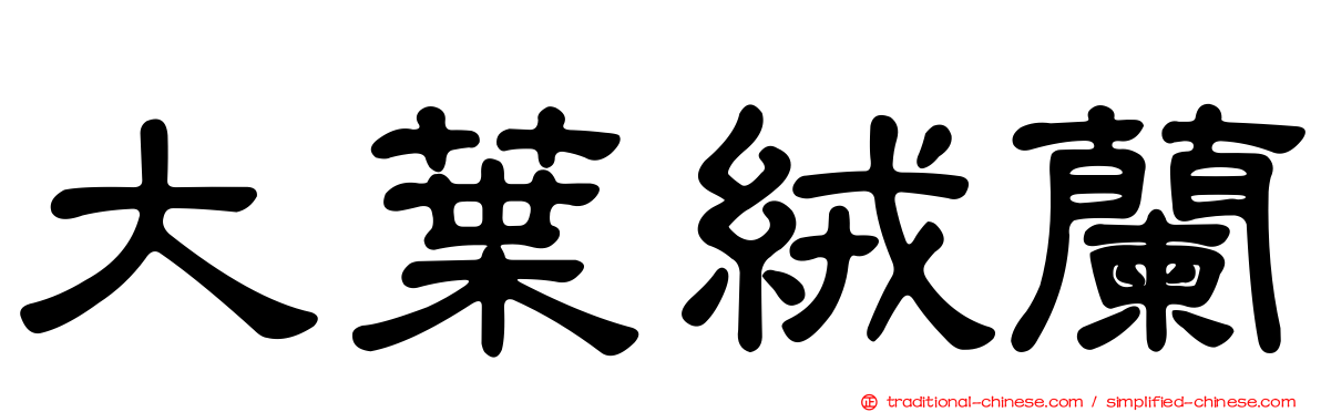 大葉絨蘭