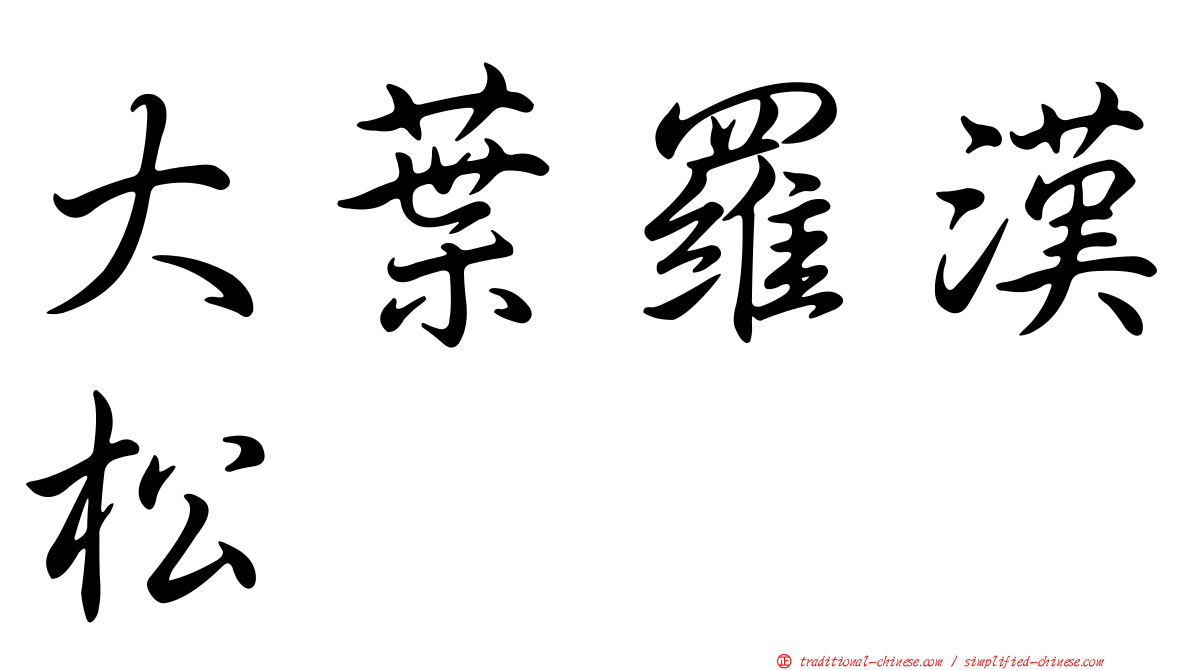 大葉羅漢松