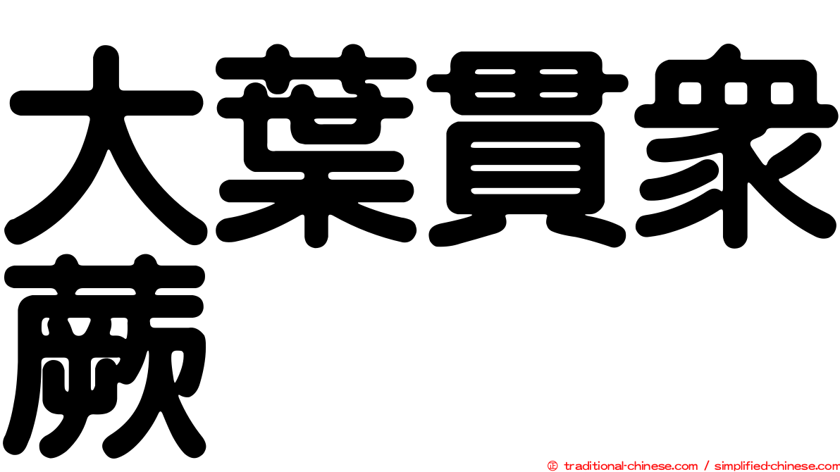 大葉貫眾蕨