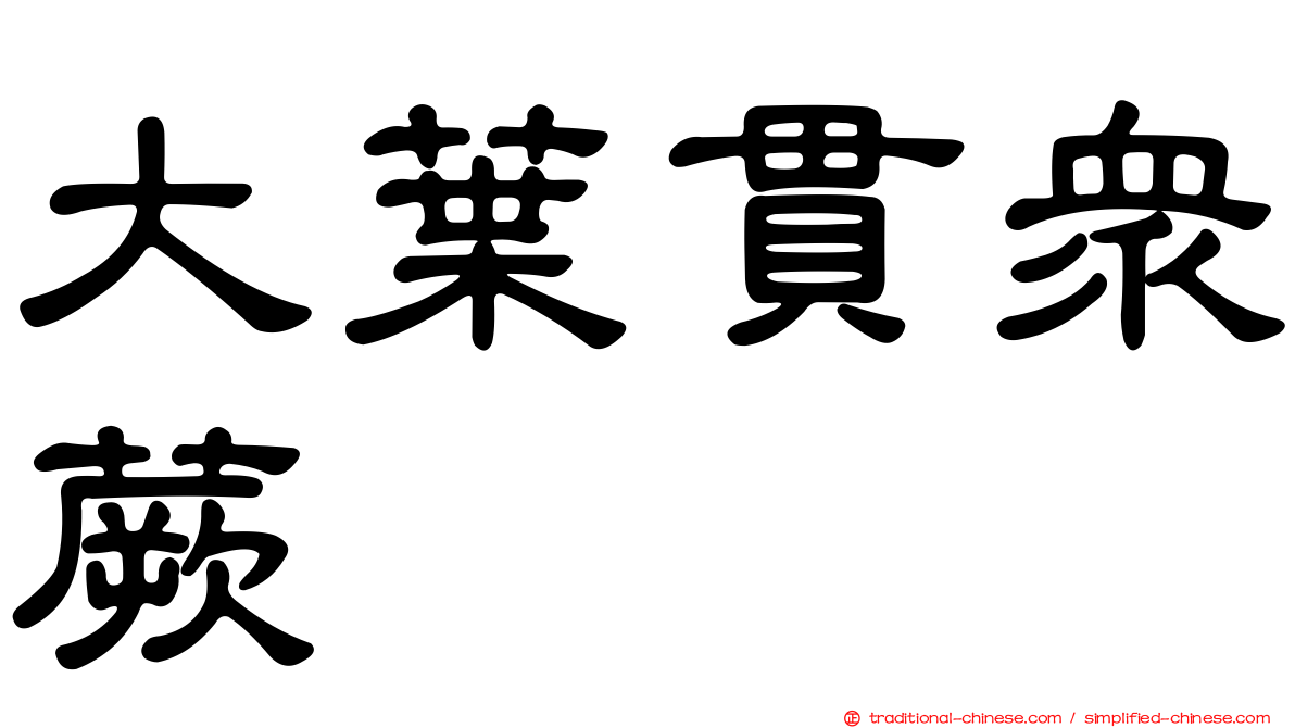 大葉貫眾蕨