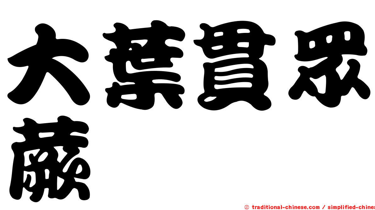 大葉貫眾蕨
