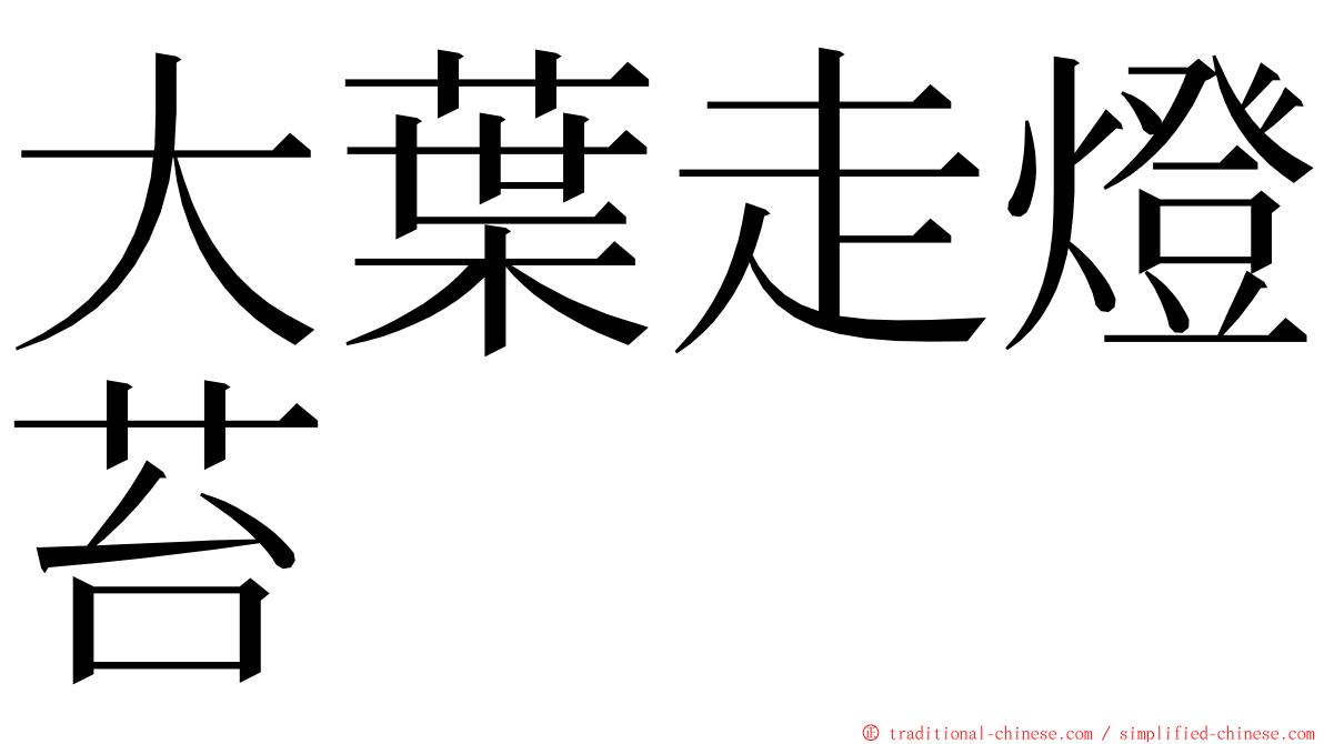 大葉走燈苔 ming font
