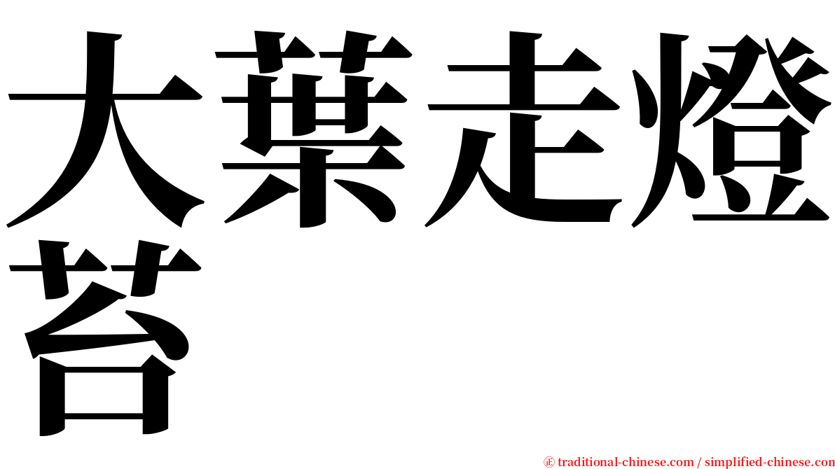 大葉走燈苔 serif font