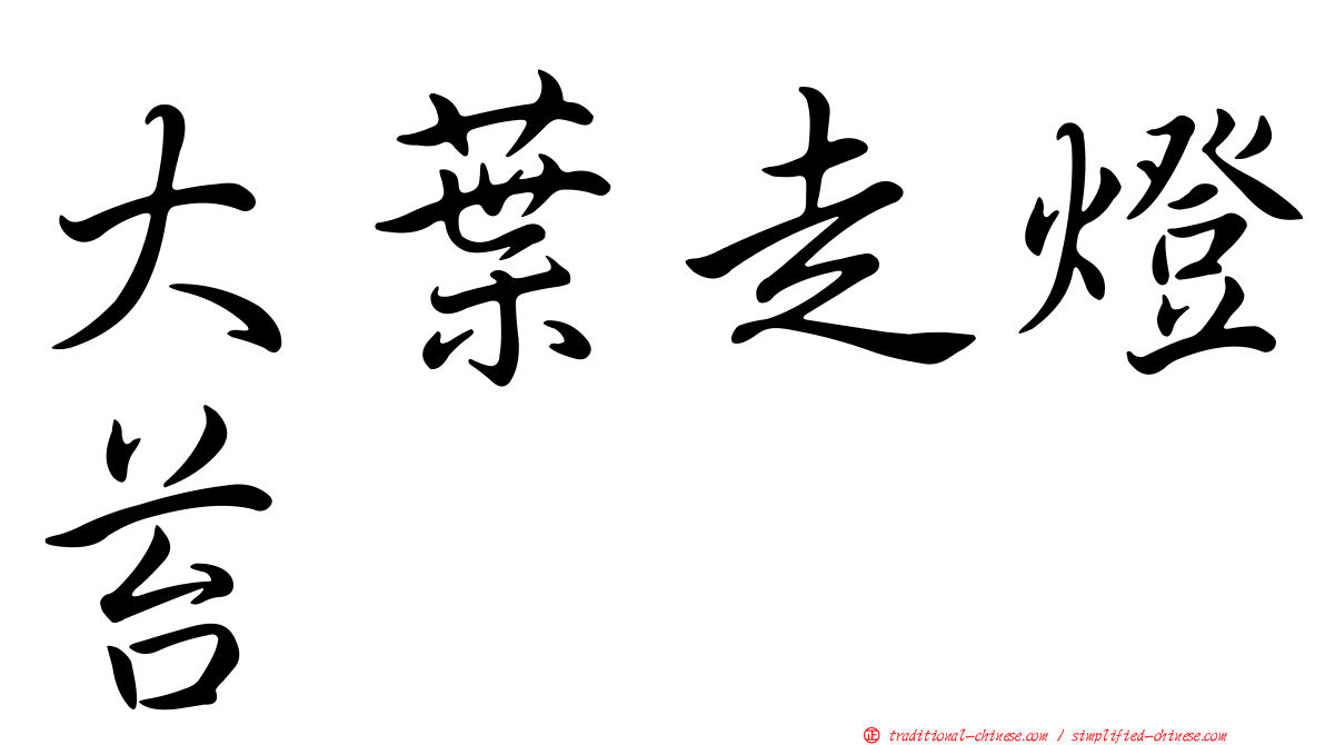 大葉走燈苔