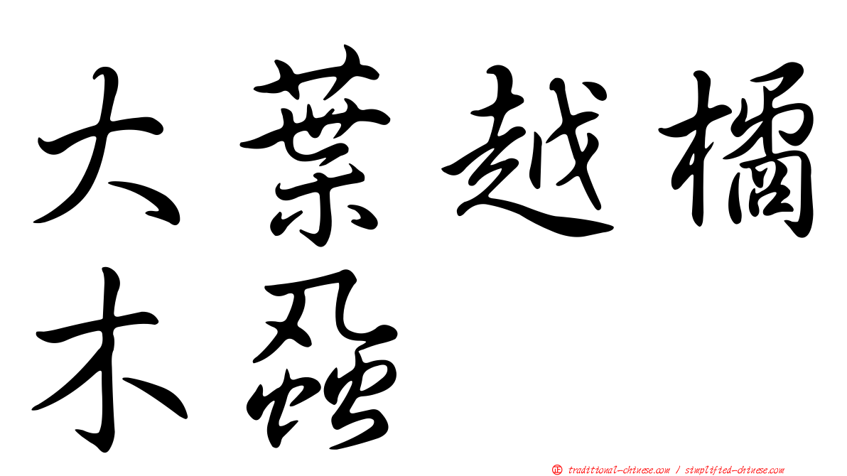 大葉越橘木蝨