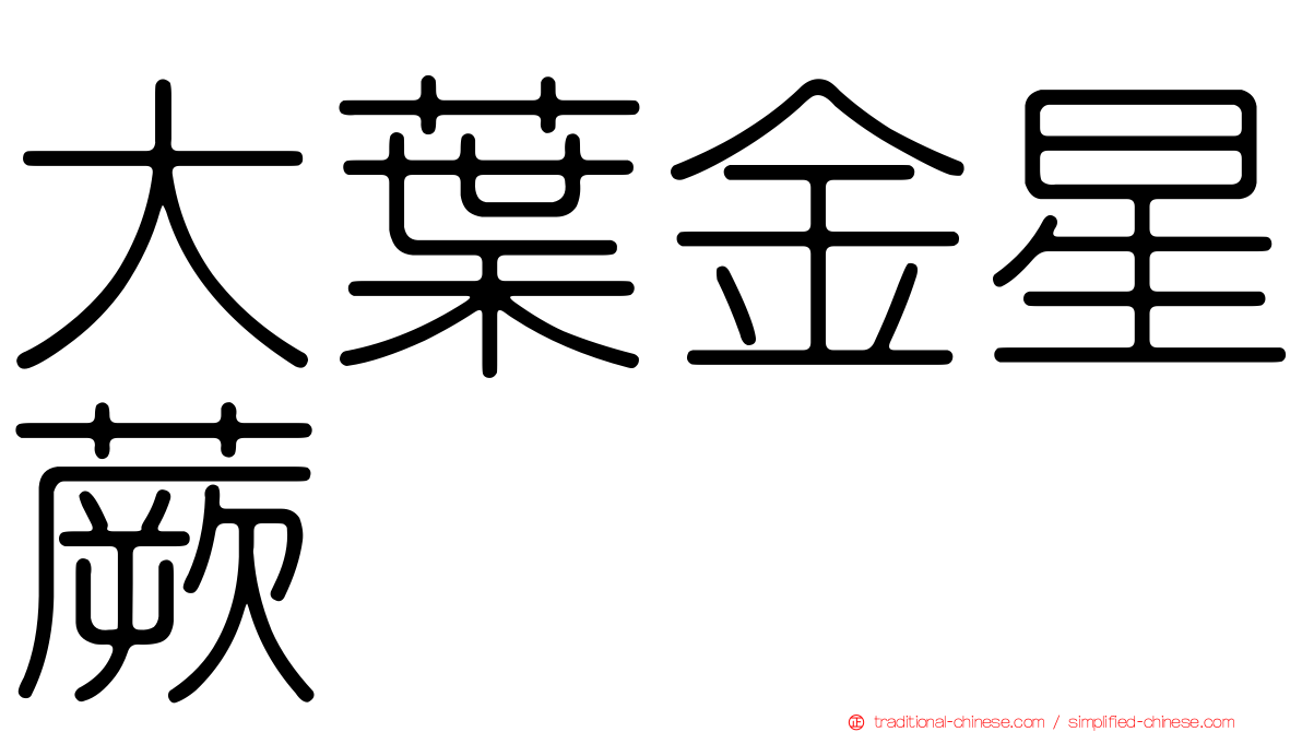 大葉金星蕨