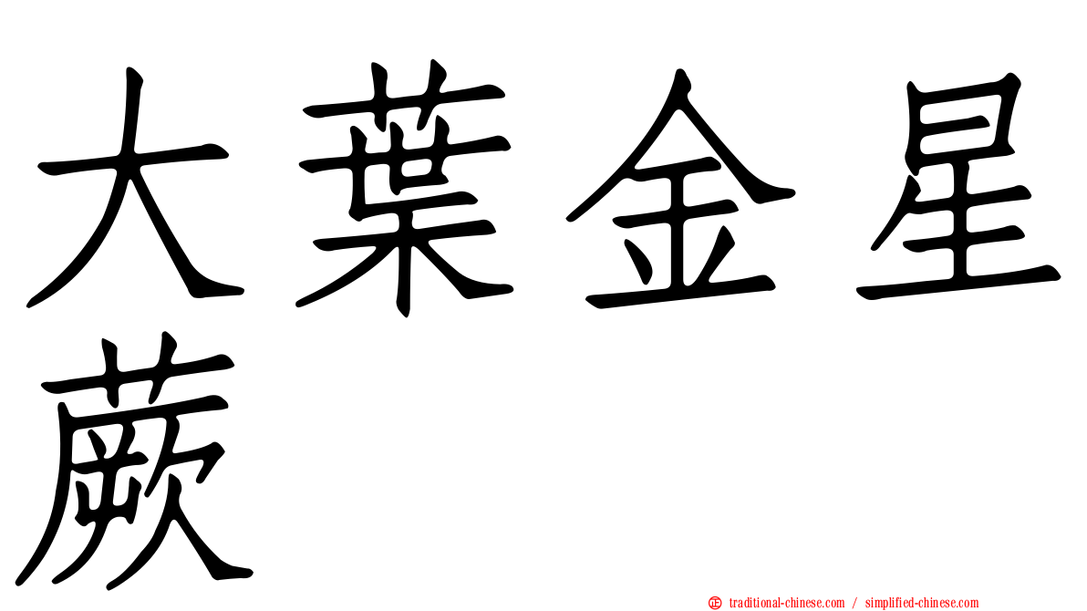大葉金星蕨