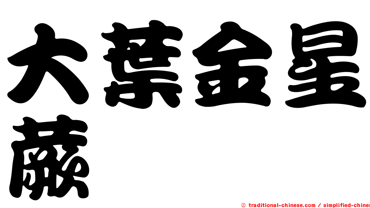 大葉金星蕨