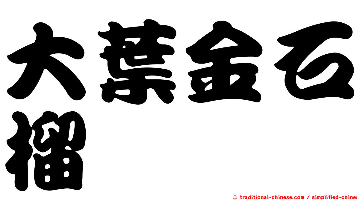 大葉金石榴