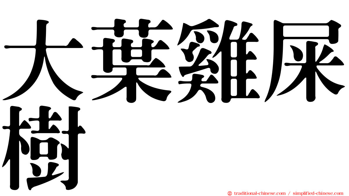 大葉雞屎樹