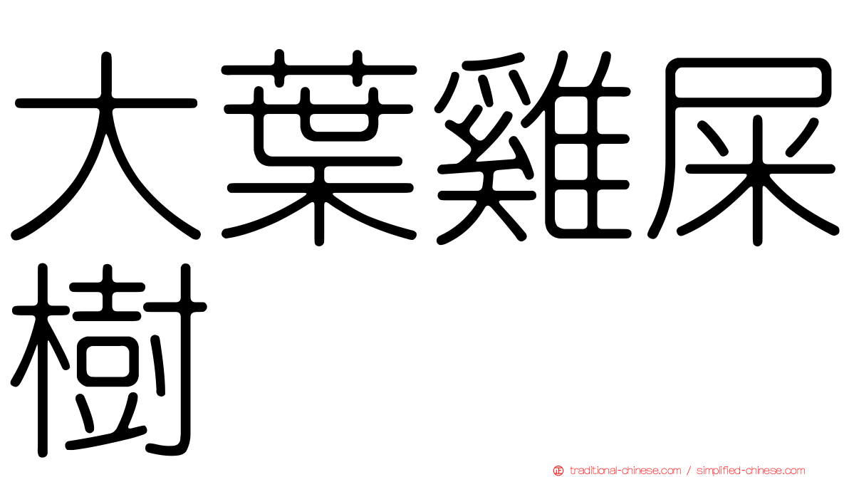 大葉雞屎樹