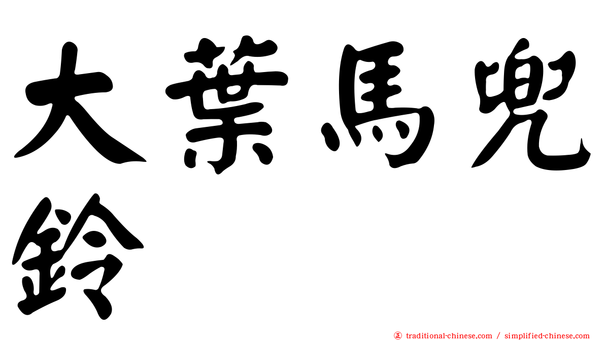 大葉馬兜鈴